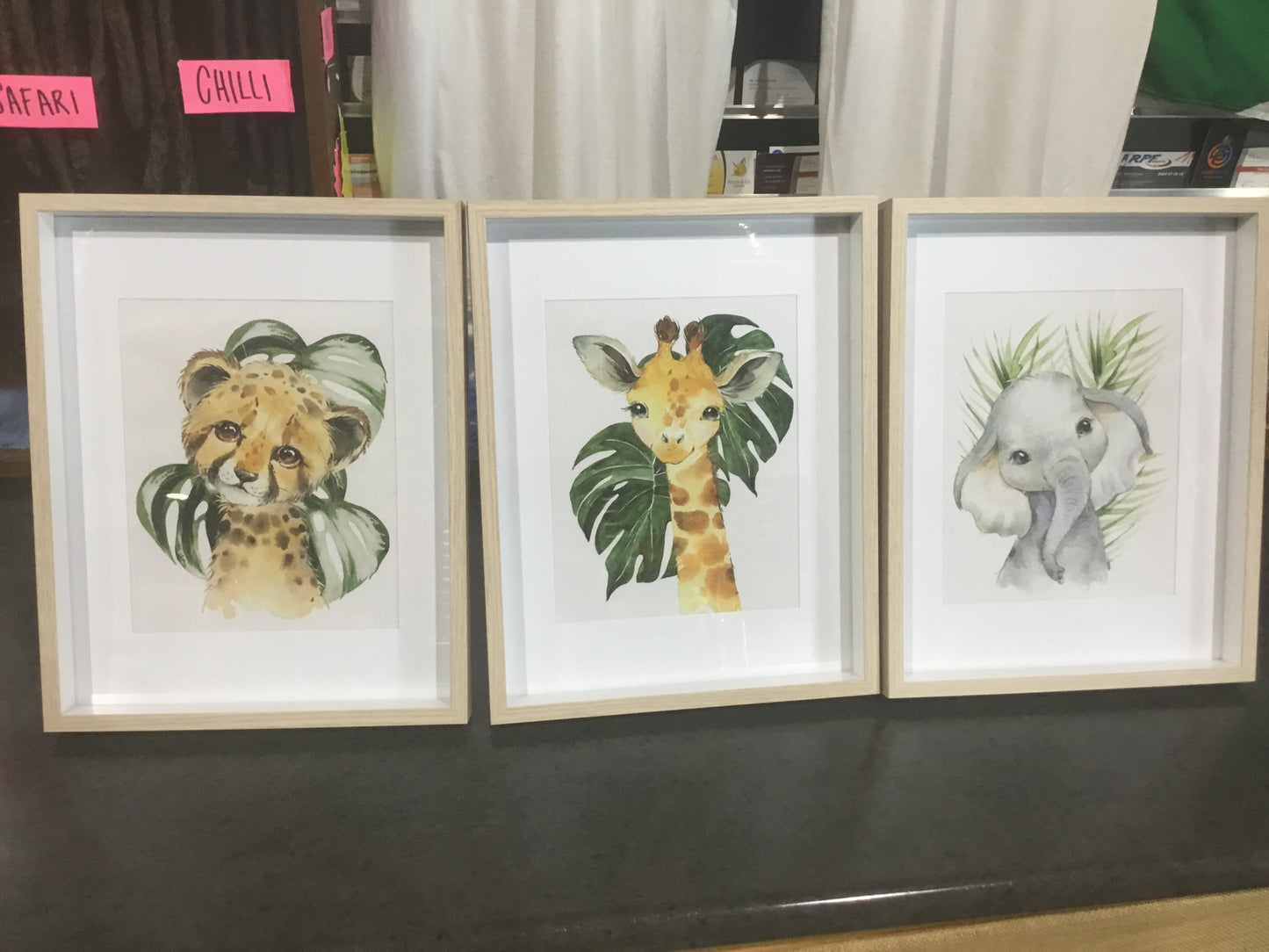 Framed African animal pics