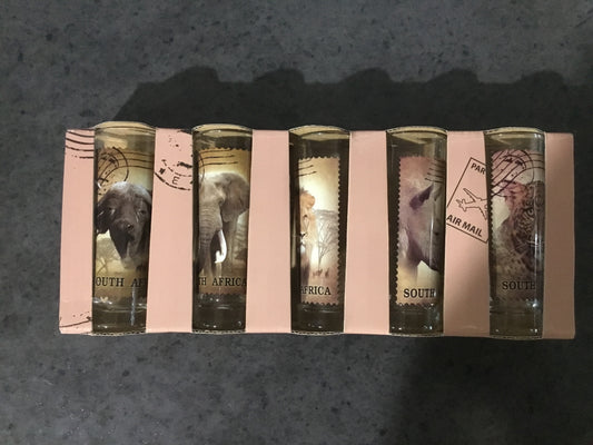 SA Shot Glasses Big Five 5pack